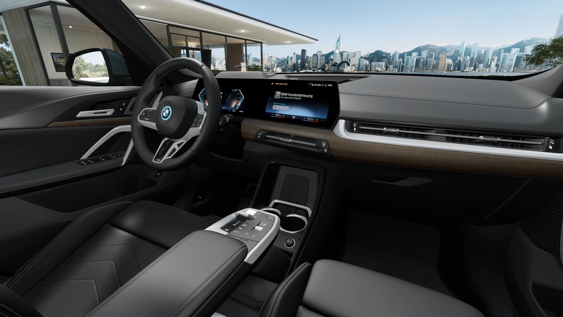 Hoofdafbeelding BMW iX1