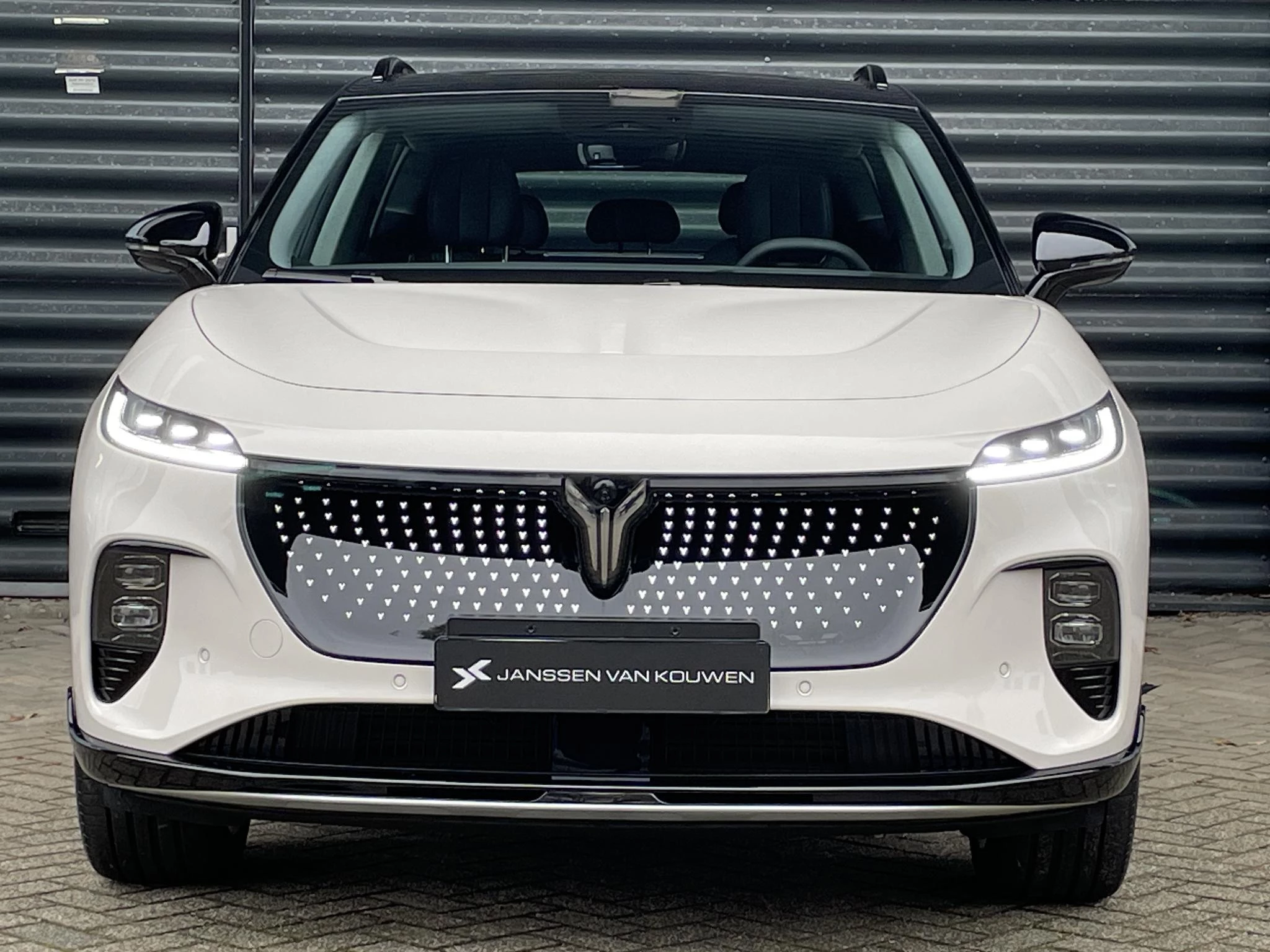 Hoofdafbeelding Voyah Courage