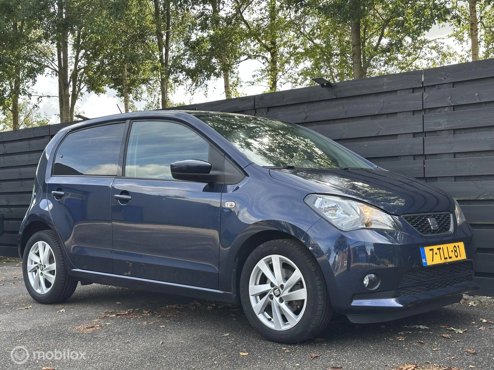 Hoofdafbeelding SEAT Mii
