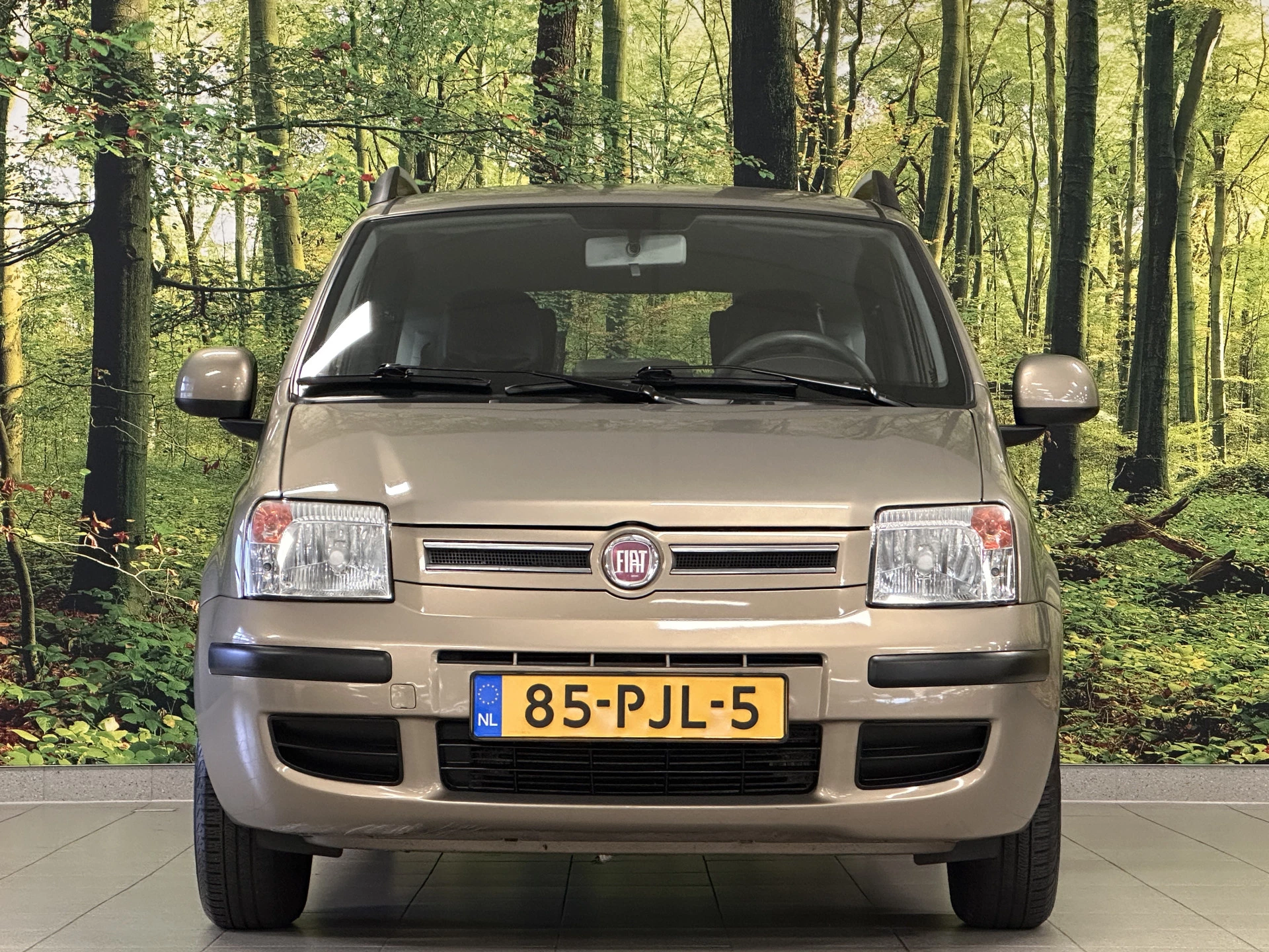 Hoofdafbeelding Fiat Panda