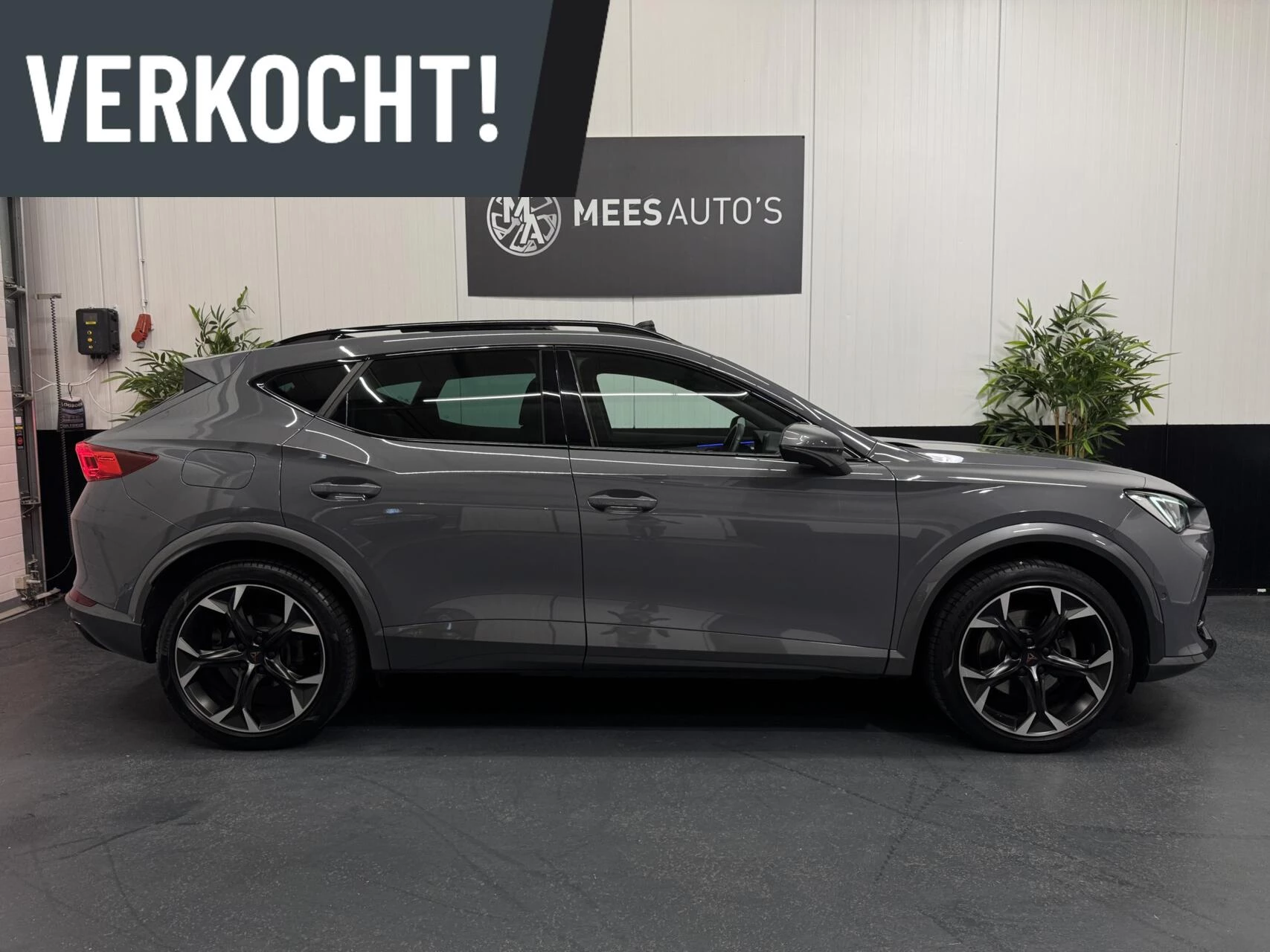 Hoofdafbeelding CUPRA Formentor
