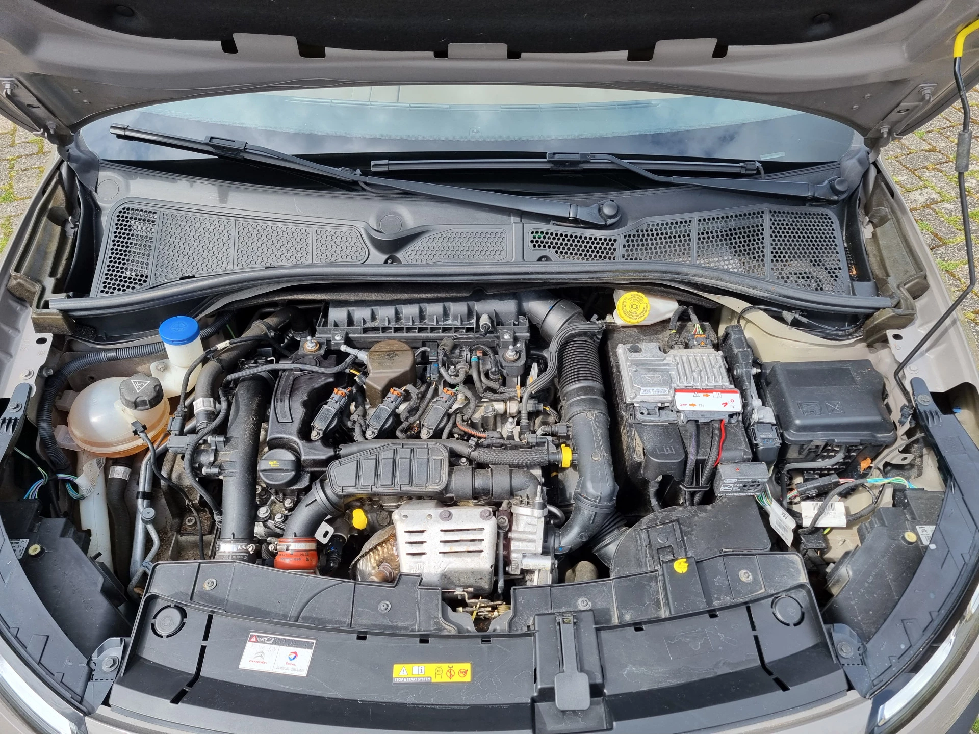 Hoofdafbeelding Citroën C4 Cactus
