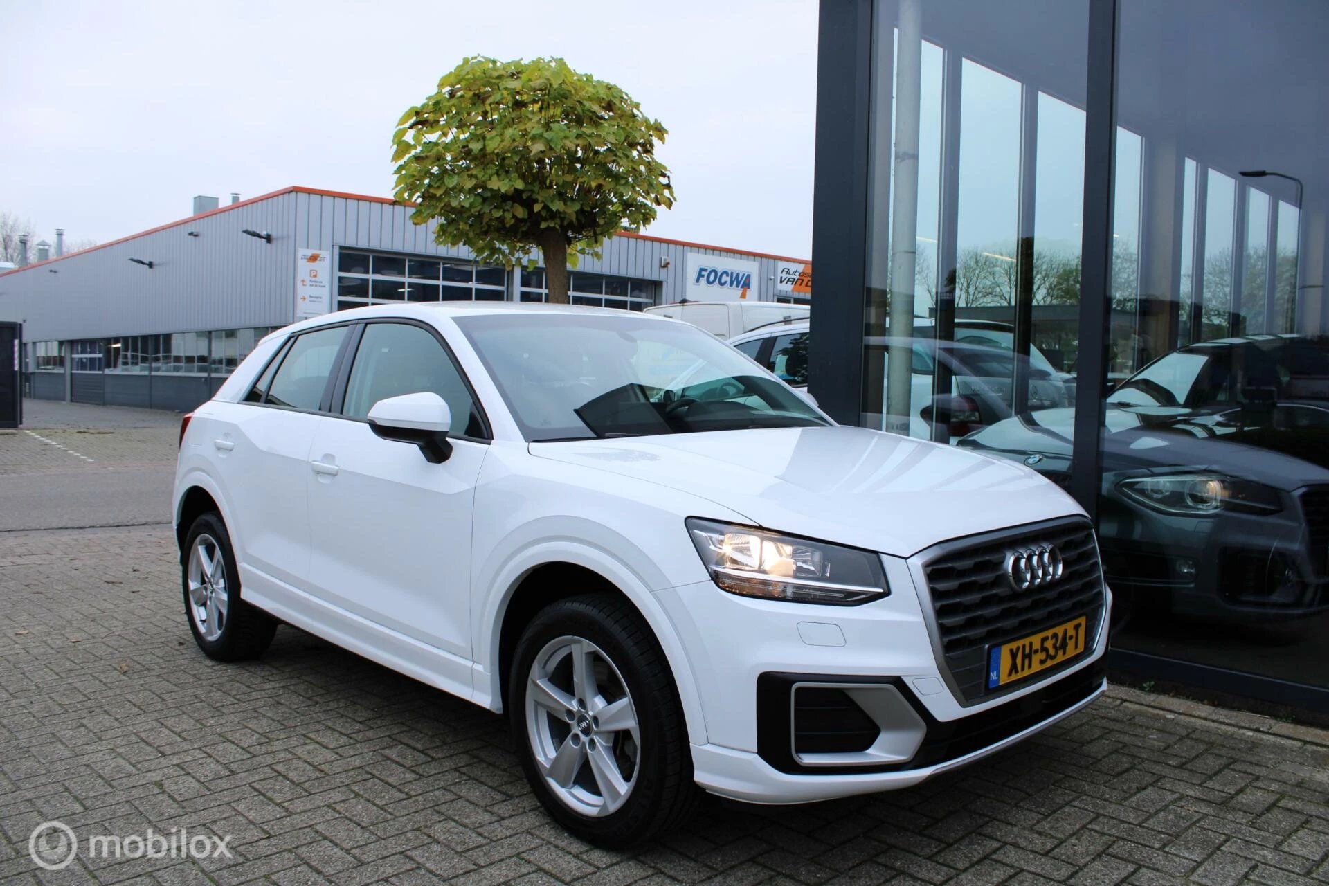 Hoofdafbeelding Audi Q2