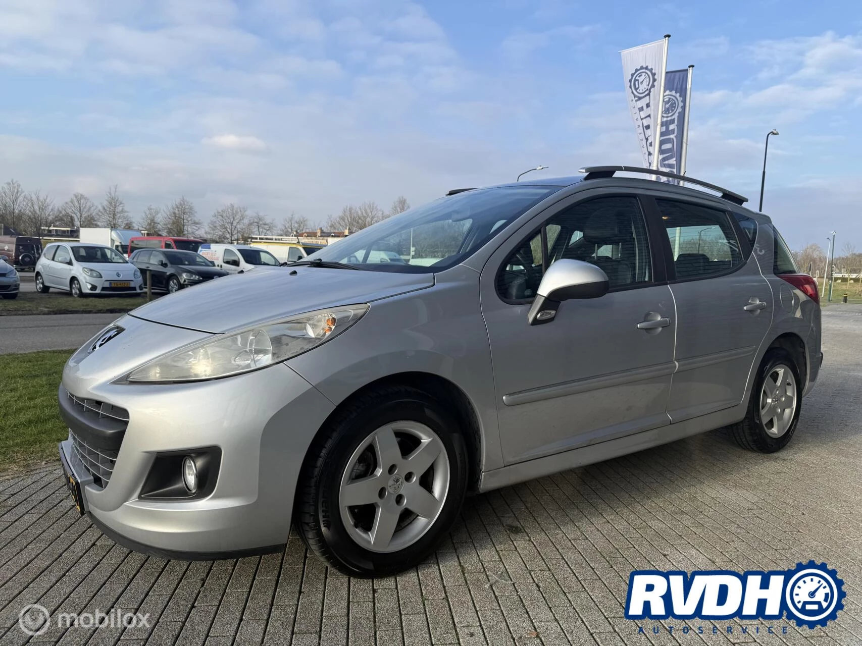 Hoofdafbeelding Peugeot 207