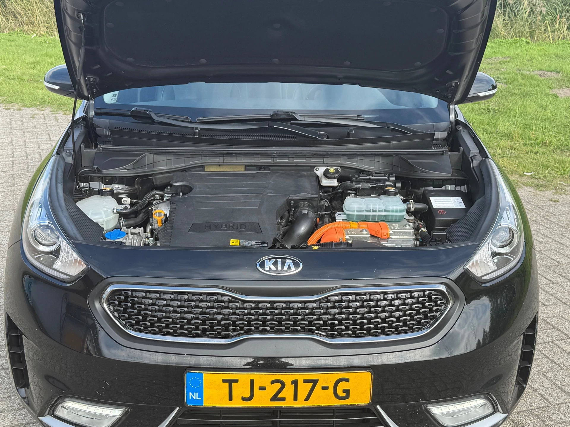 Hoofdafbeelding Kia Niro