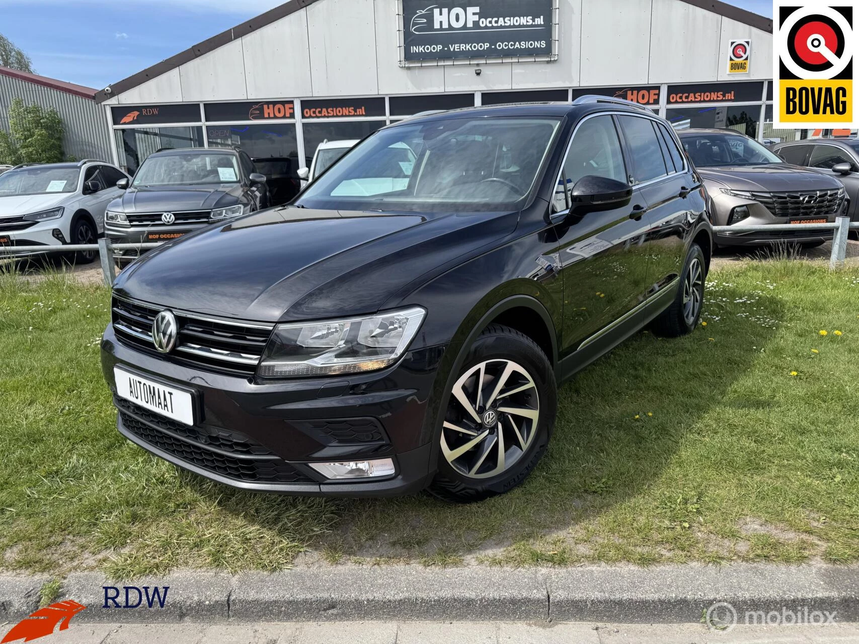 Hoofdafbeelding Volkswagen Tiguan