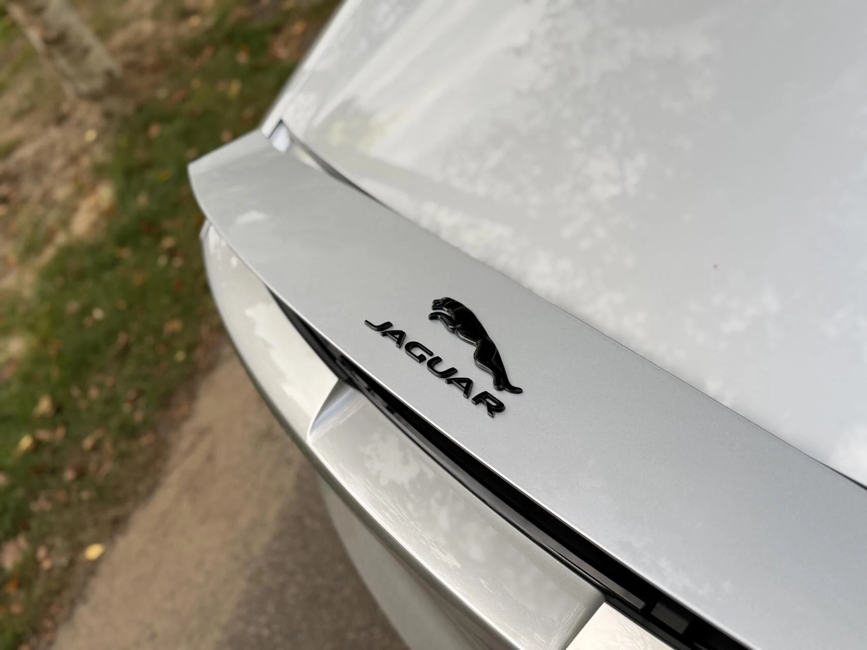 Hoofdafbeelding Jaguar F-Type