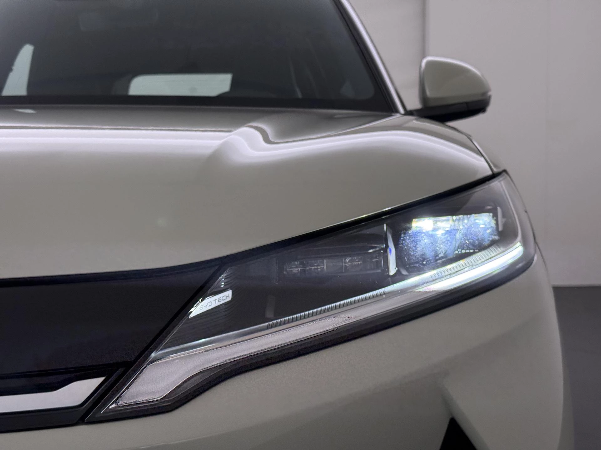 Hoofdafbeelding BYD ATTO 2