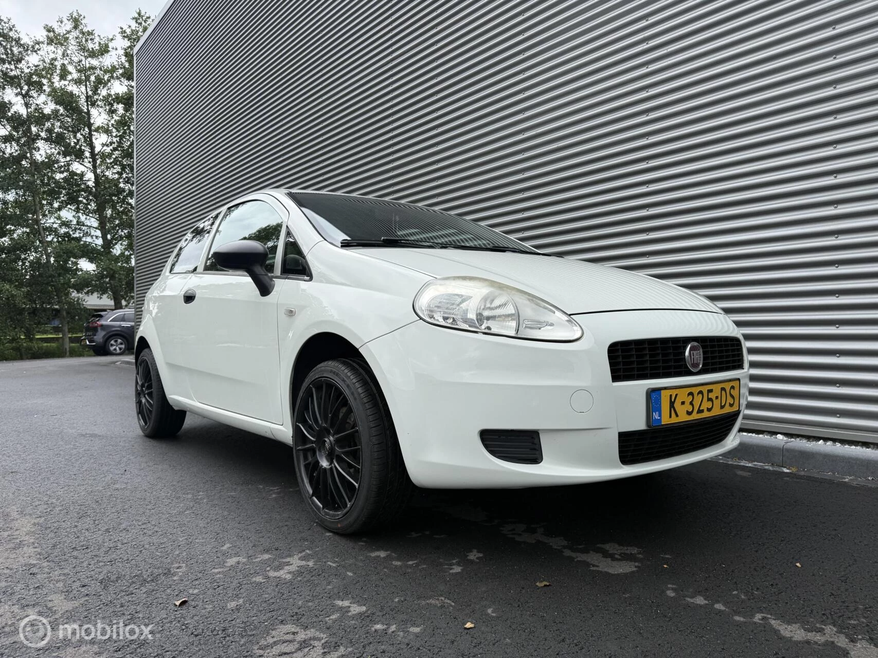 Hoofdafbeelding Fiat Punto