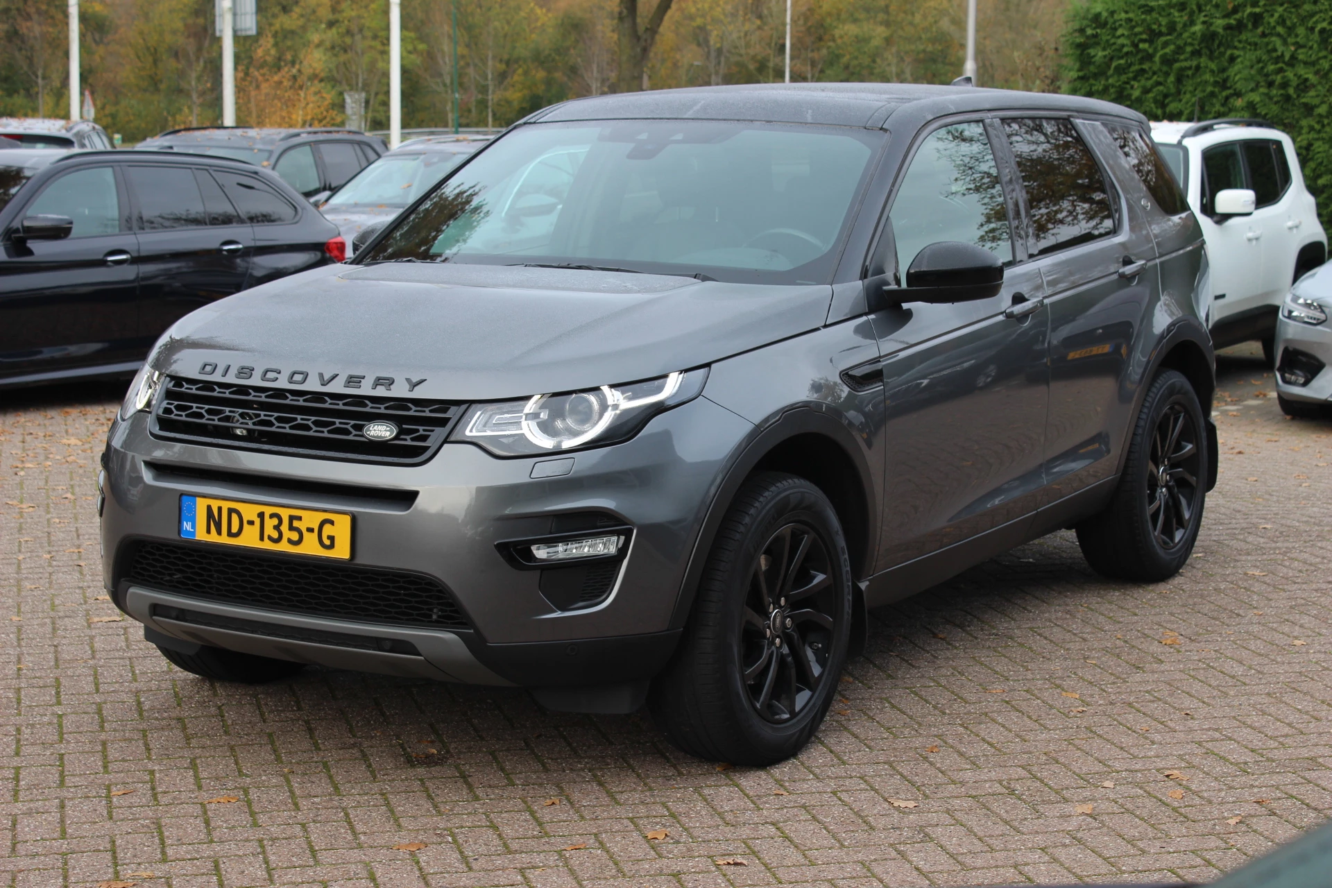 Hoofdafbeelding Land Rover Discovery Sport