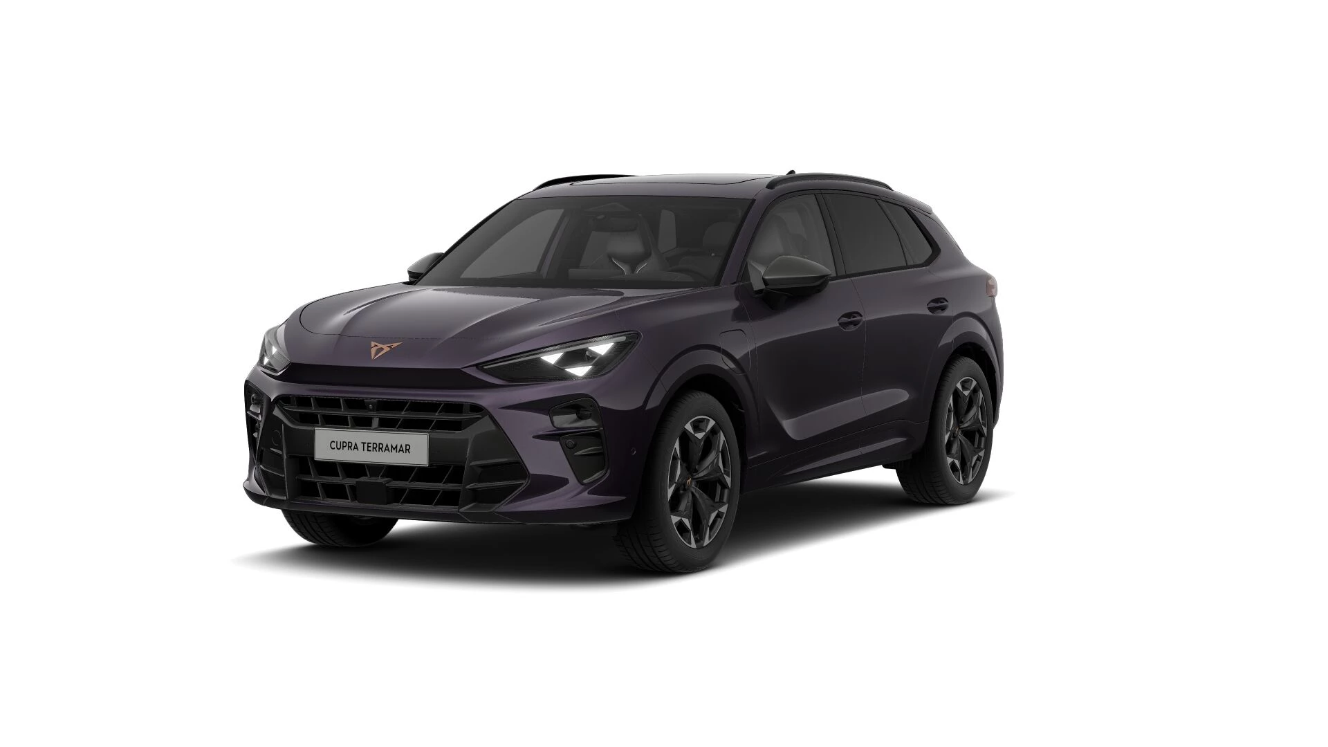 Hoofdafbeelding CUPRA Terramar