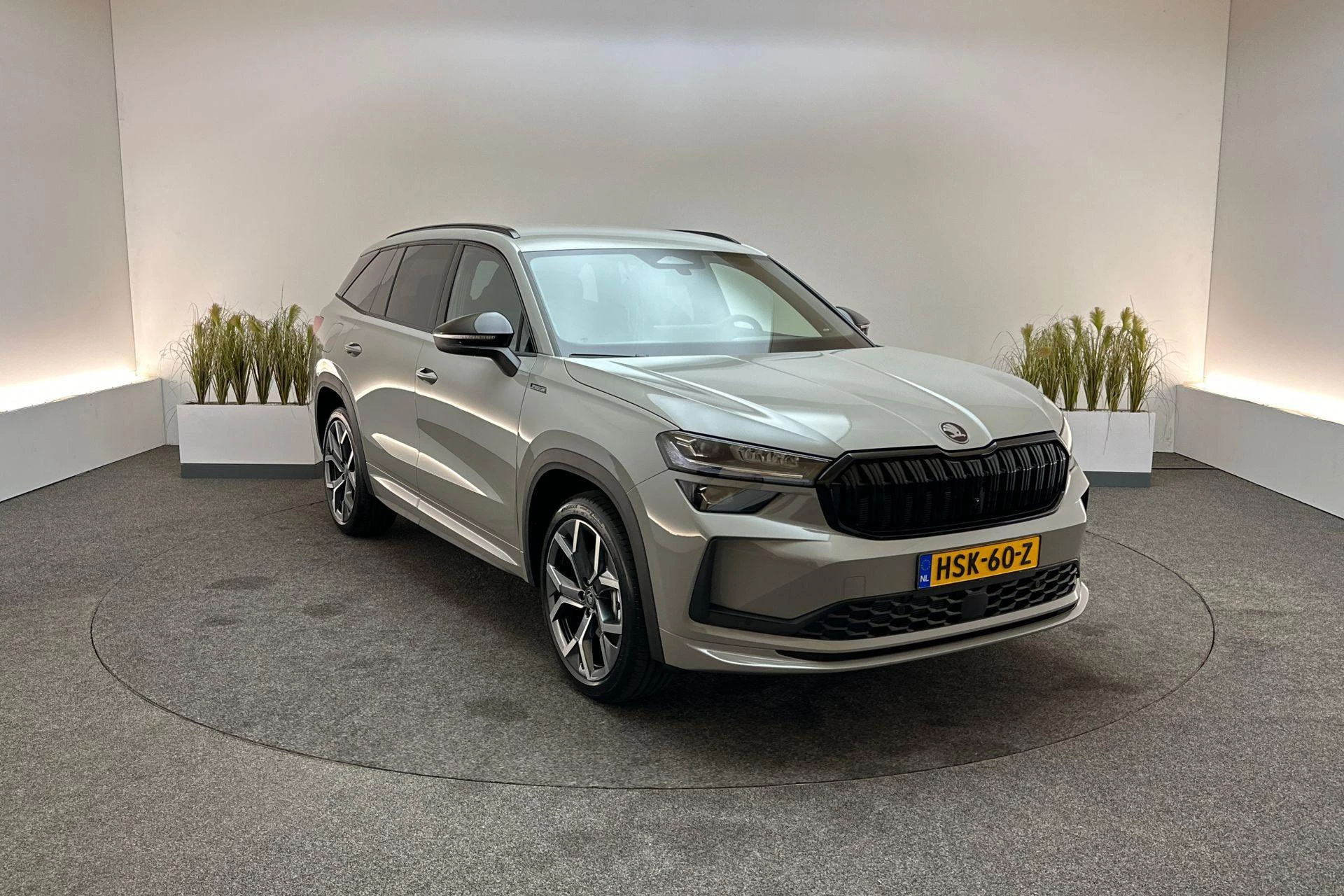 Hoofdafbeelding Škoda Kodiaq