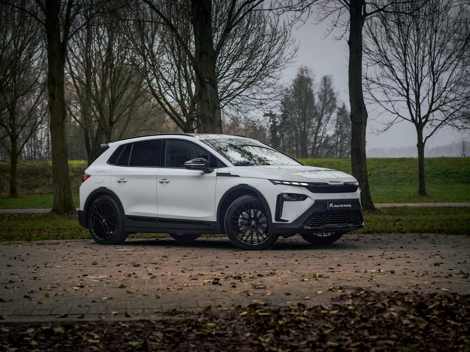 Hoofdafbeelding Škoda Elroq