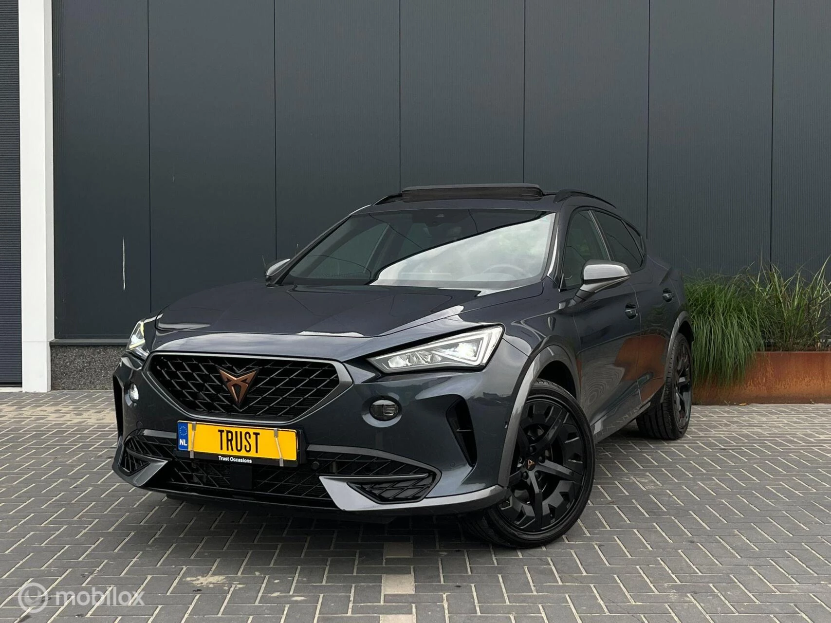 Hoofdafbeelding CUPRA Formentor