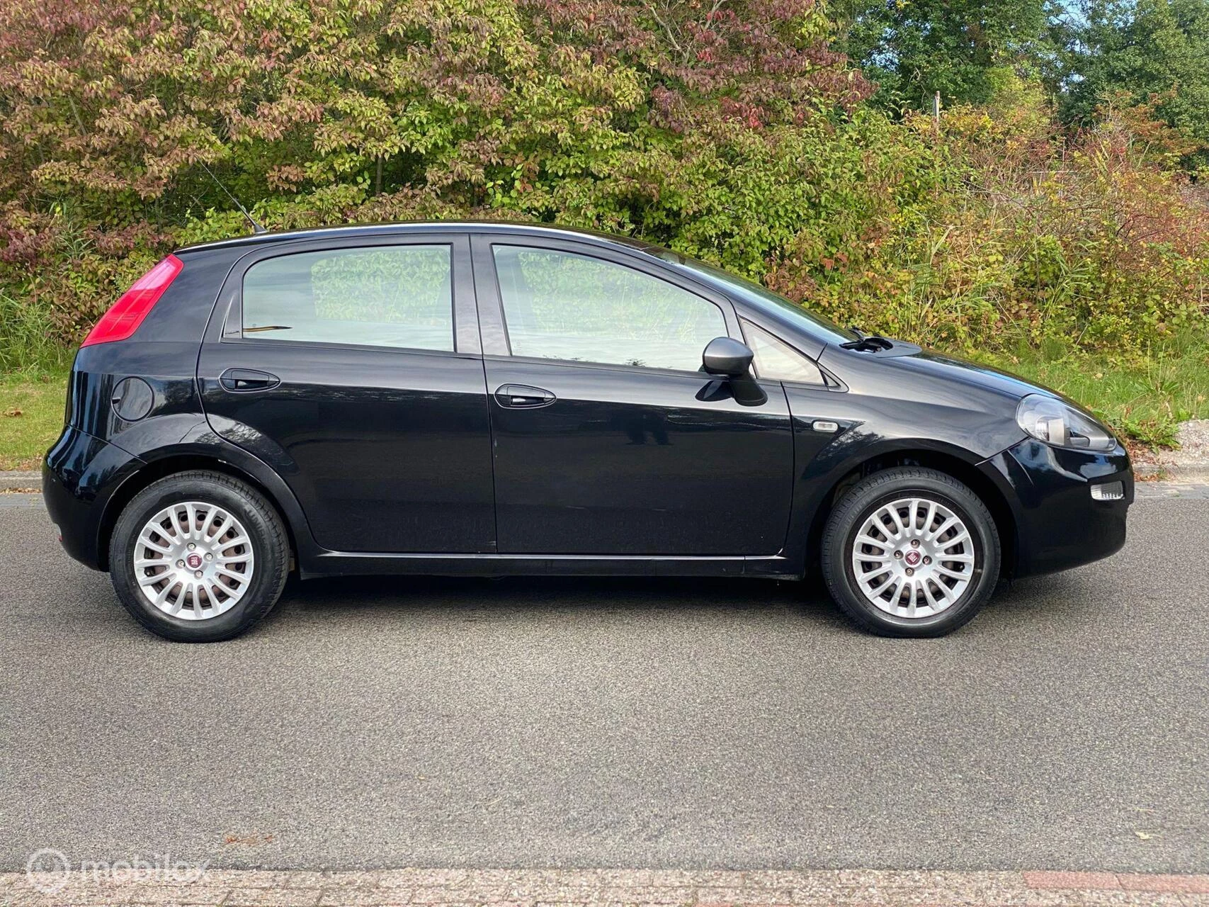 Hoofdafbeelding Fiat Punto