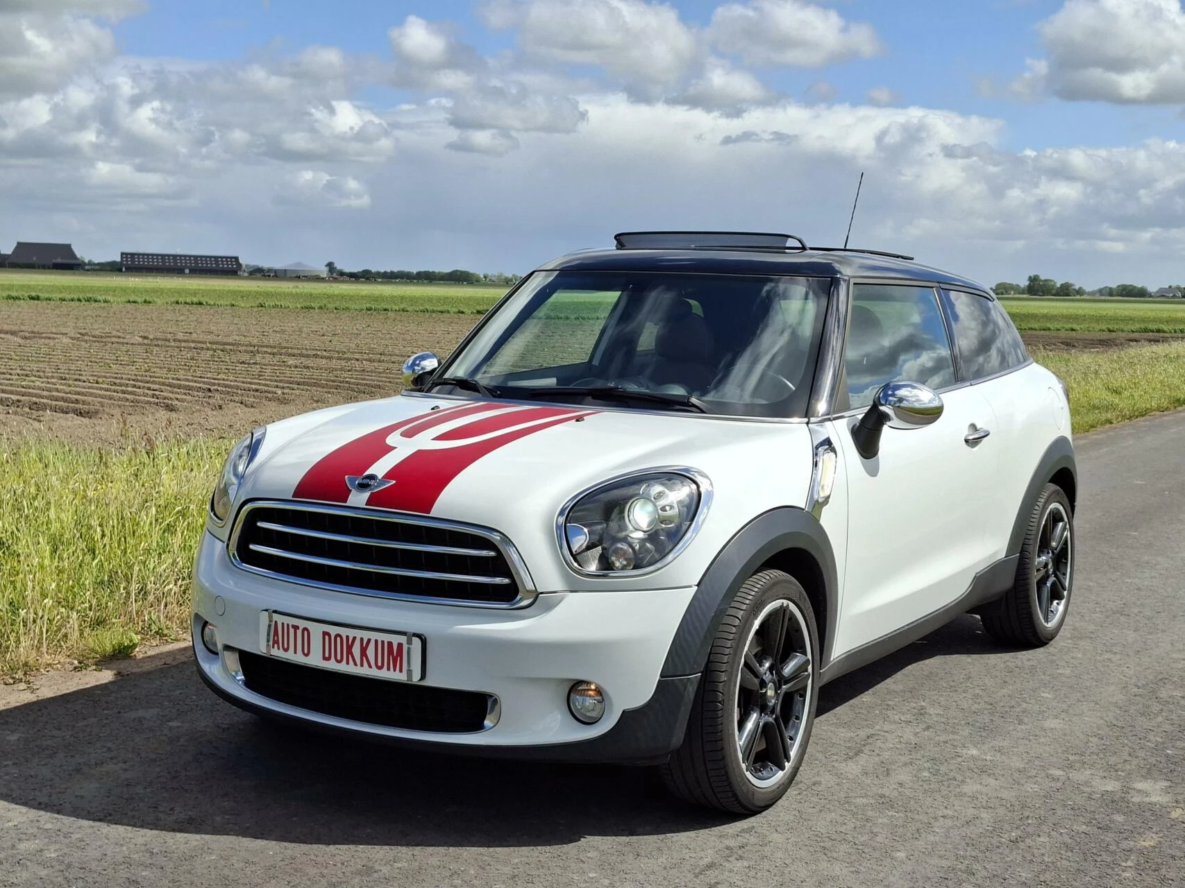 Hoofdafbeelding MINI Paceman