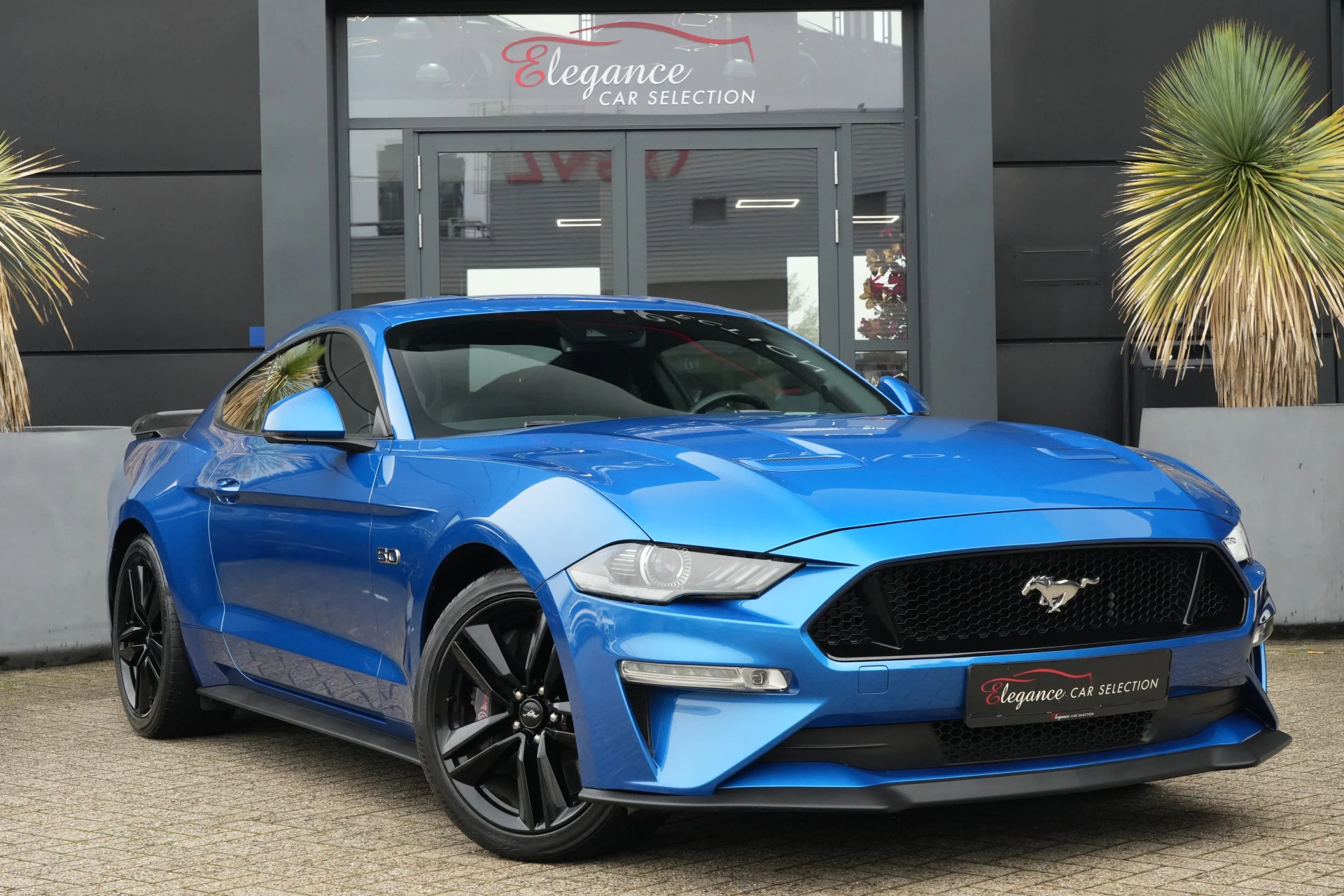 Hoofdafbeelding Ford Mustang