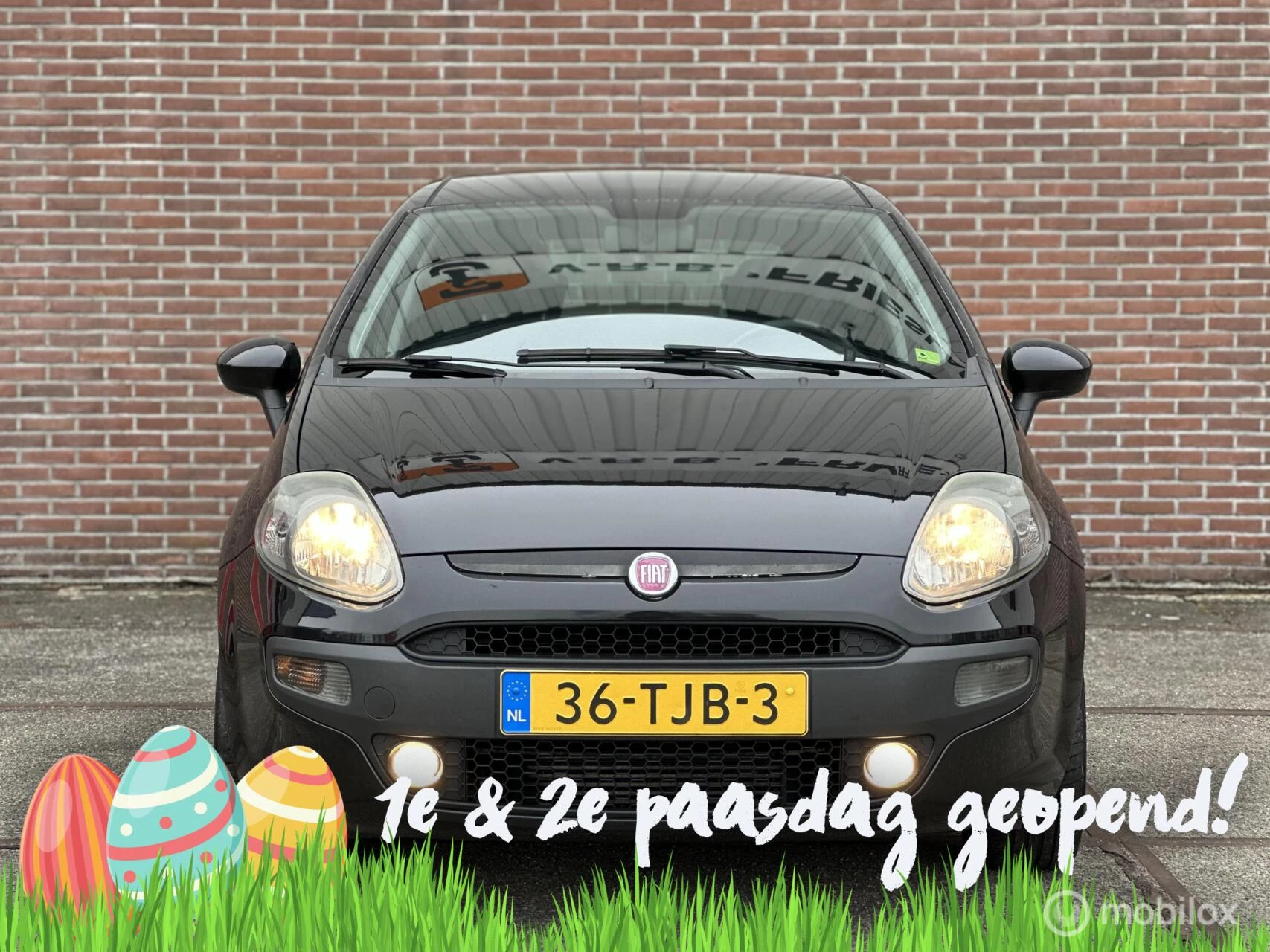 Hoofdafbeelding Fiat Punto