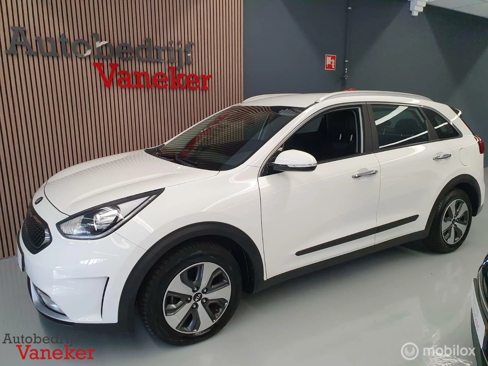 Hoofdafbeelding Kia Niro