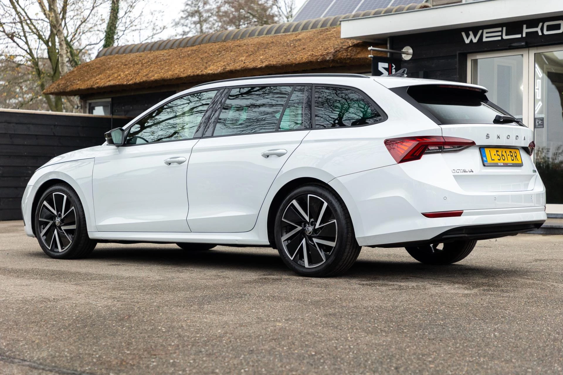 Hoofdafbeelding Škoda Octavia