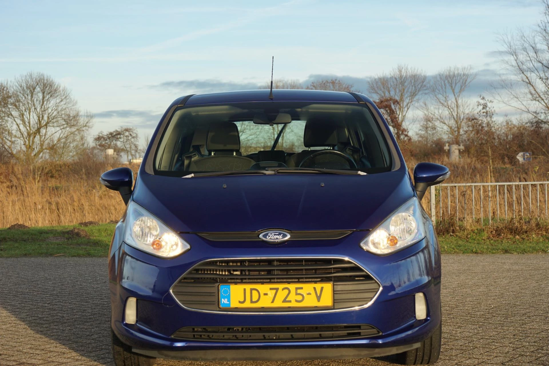 Hoofdafbeelding Ford B-MAX