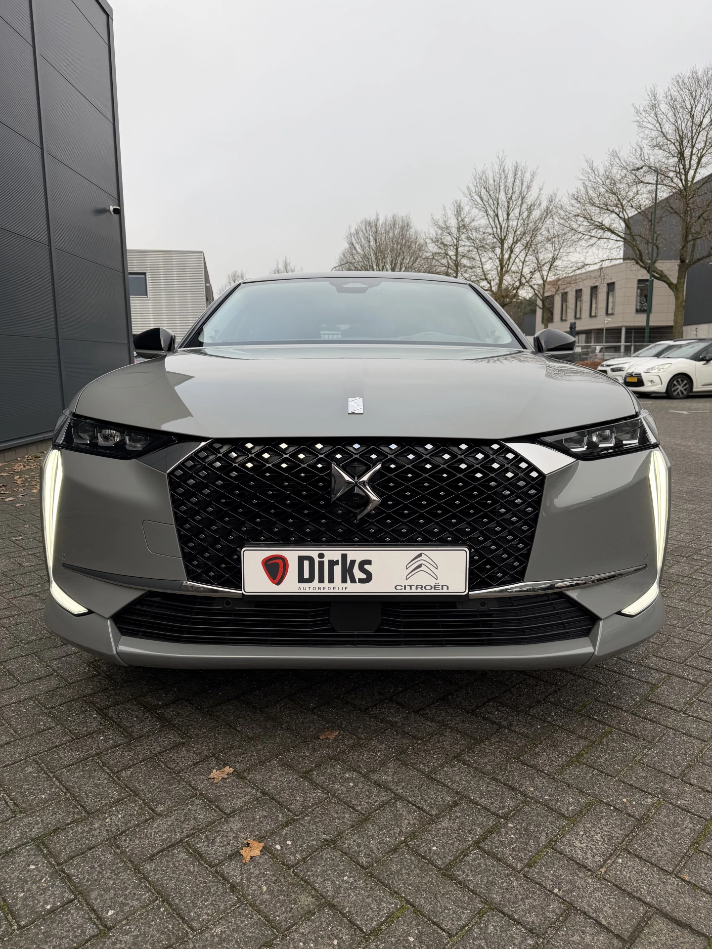 Hoofdafbeelding DS DS 4