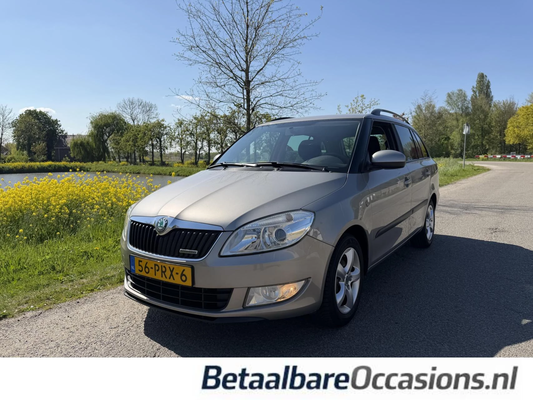 Hoofdafbeelding Škoda Fabia