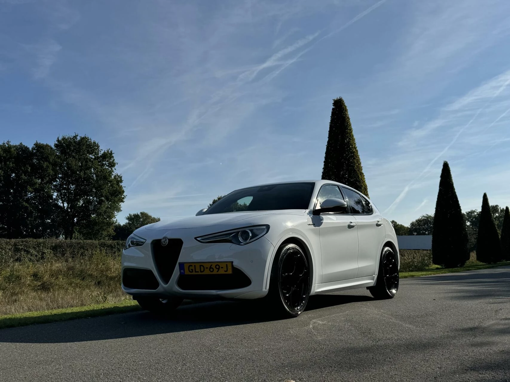 Hoofdafbeelding Alfa Romeo Stelvio