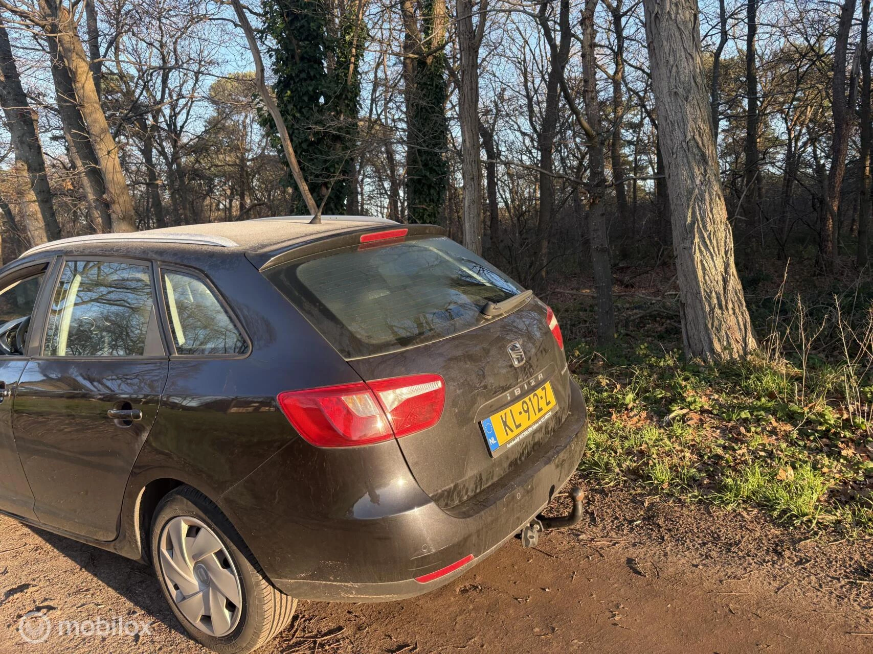 Hoofdafbeelding SEAT Ibiza