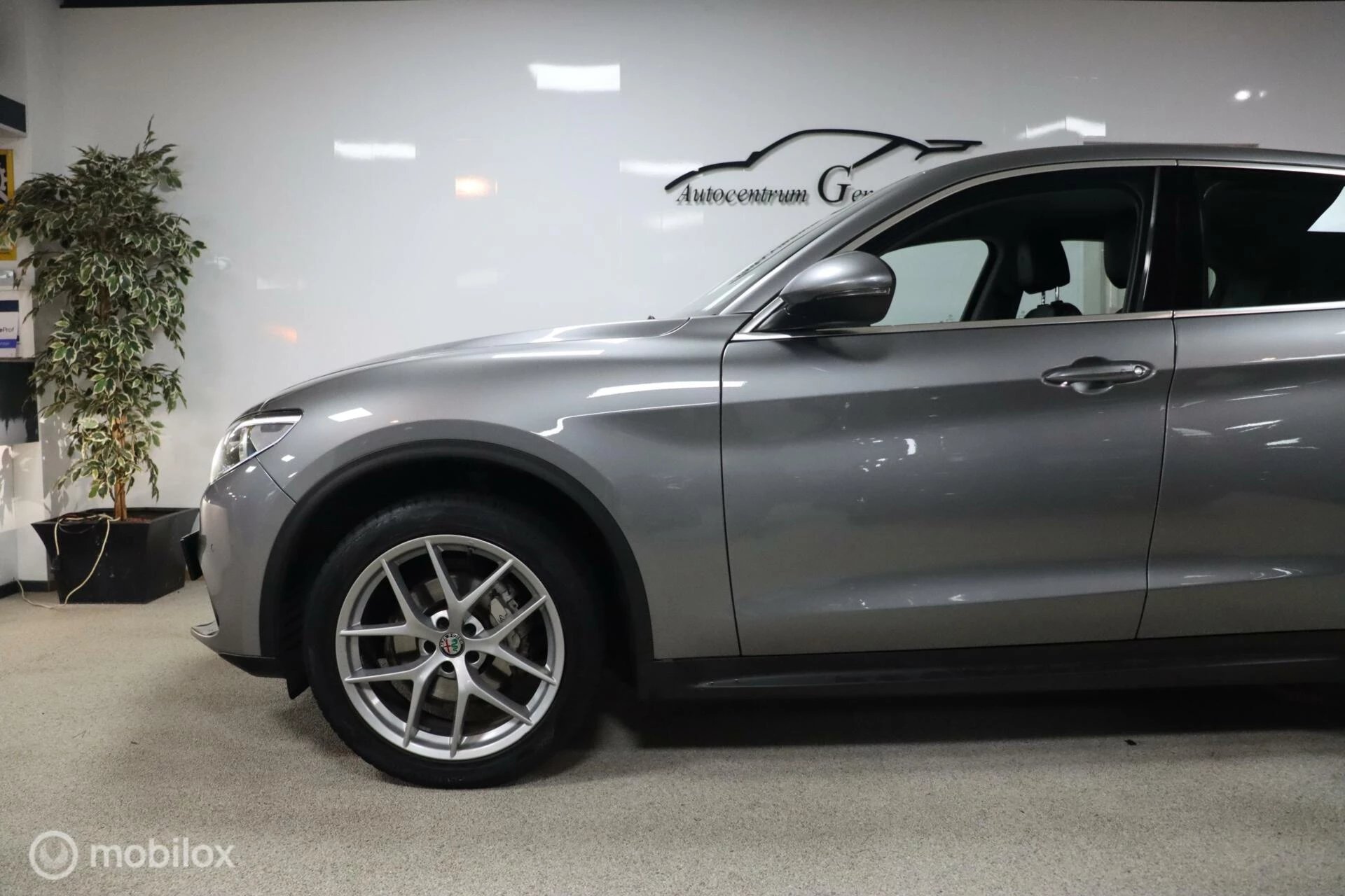 Hoofdafbeelding Alfa Romeo Stelvio