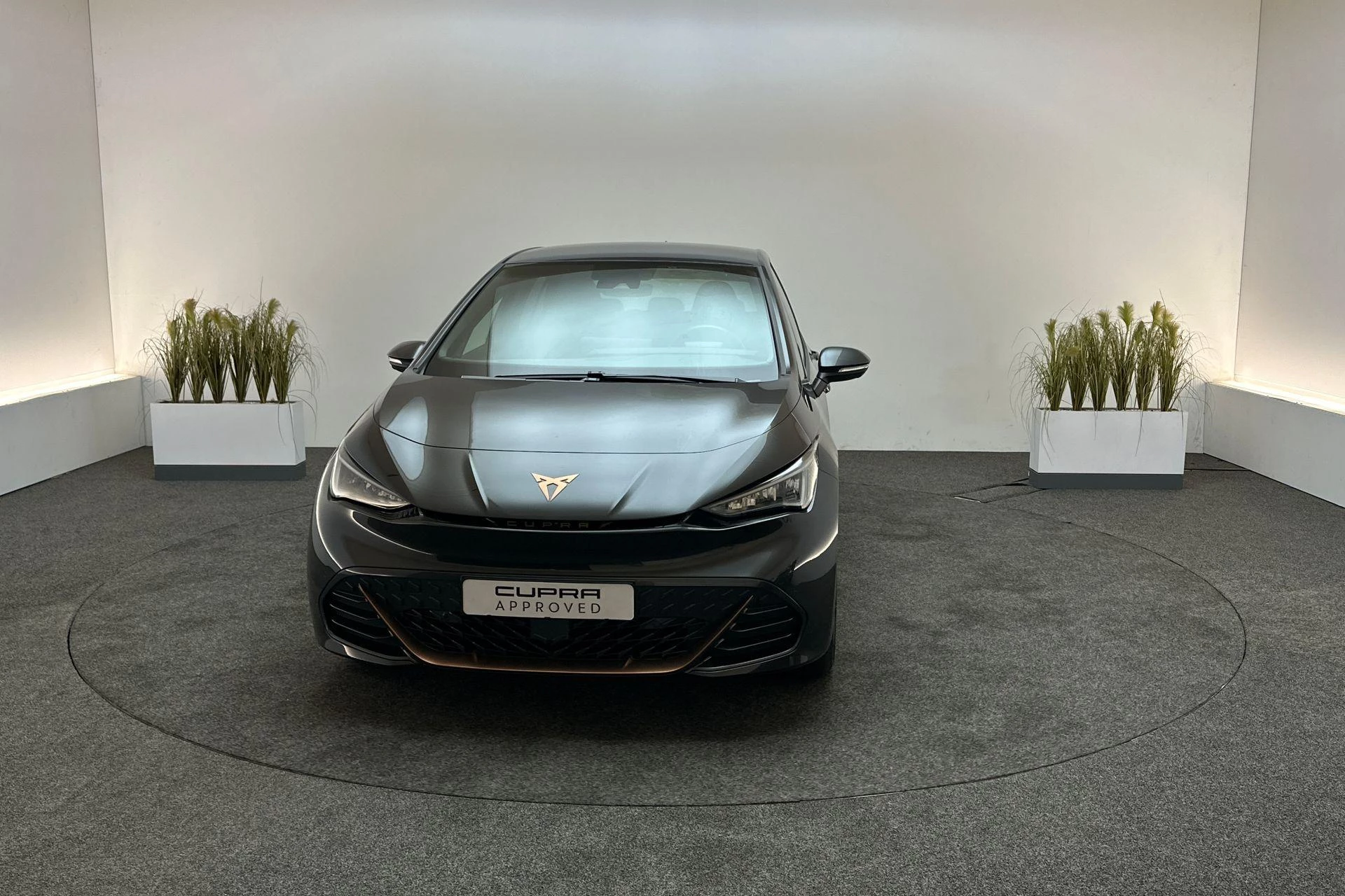 Hoofdafbeelding CUPRA Born