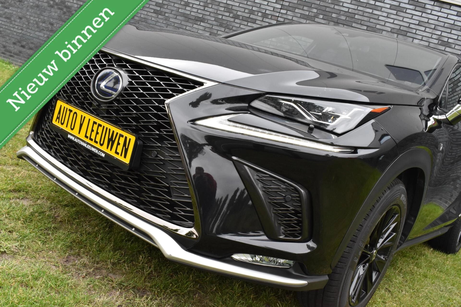 Hoofdafbeelding Lexus NX