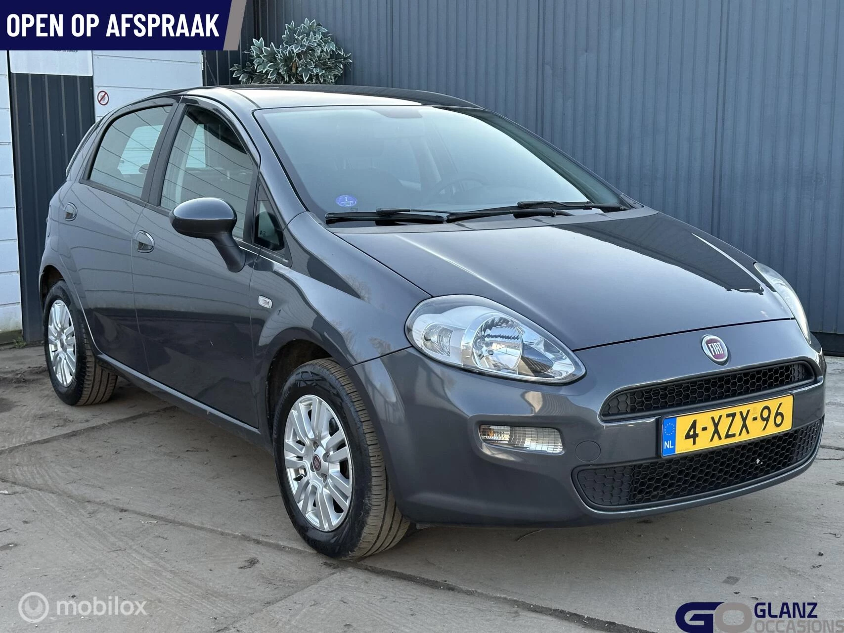 Hoofdafbeelding Fiat Punto