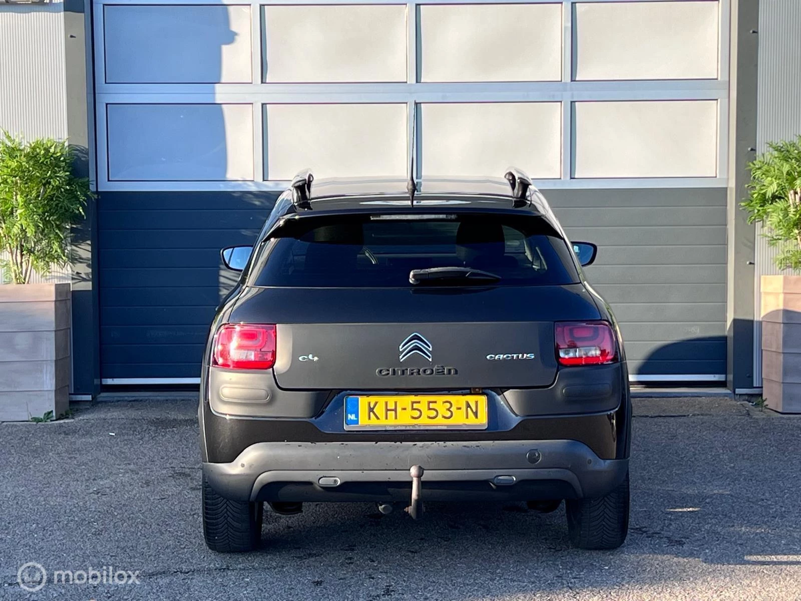 Hoofdafbeelding Citroën C4 Cactus