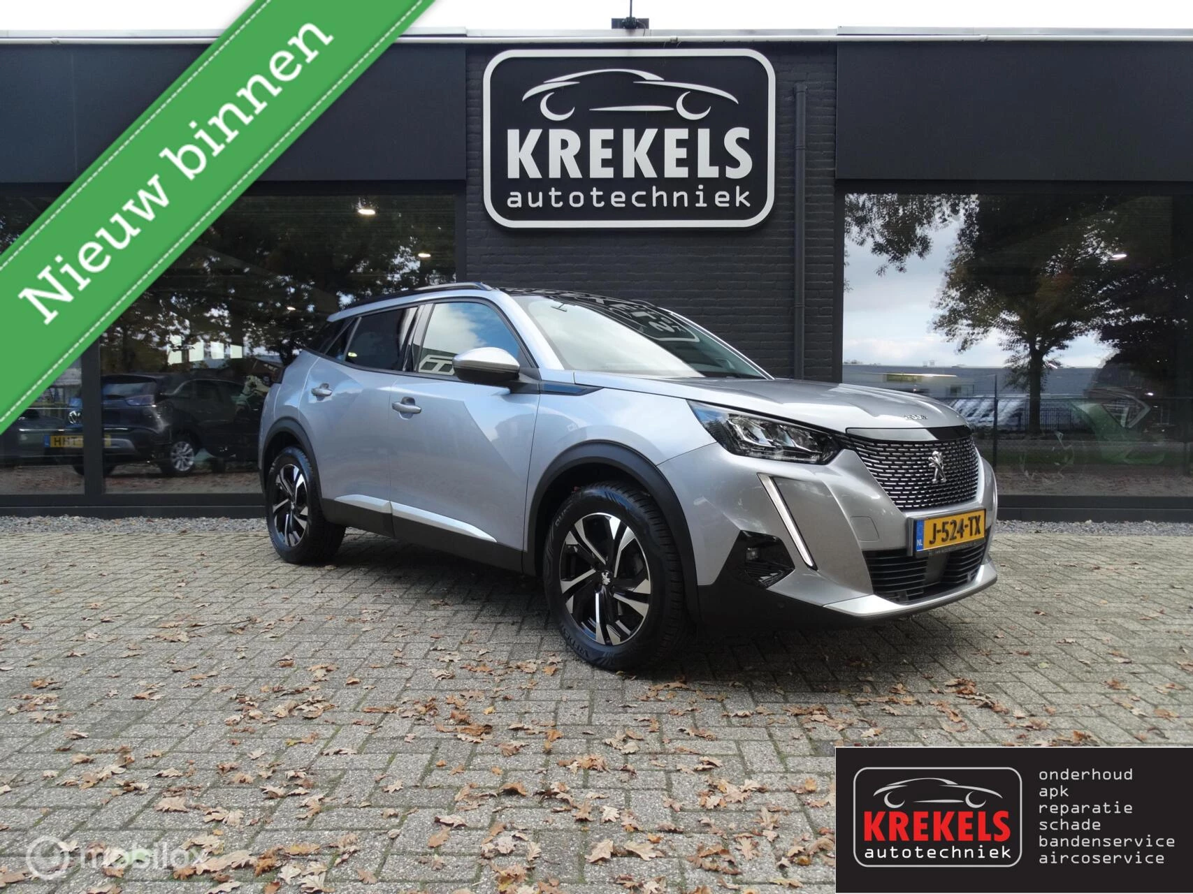 Hoofdafbeelding Peugeot 2008