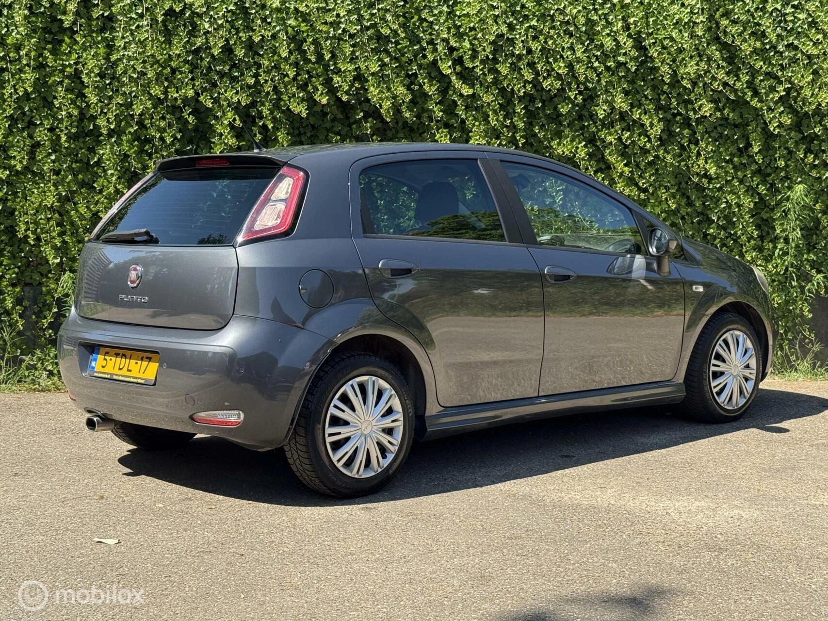 Hoofdafbeelding Fiat Punto