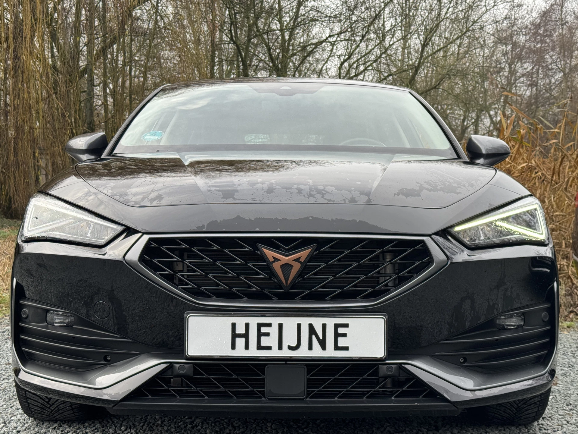 Hoofdafbeelding CUPRA Leon