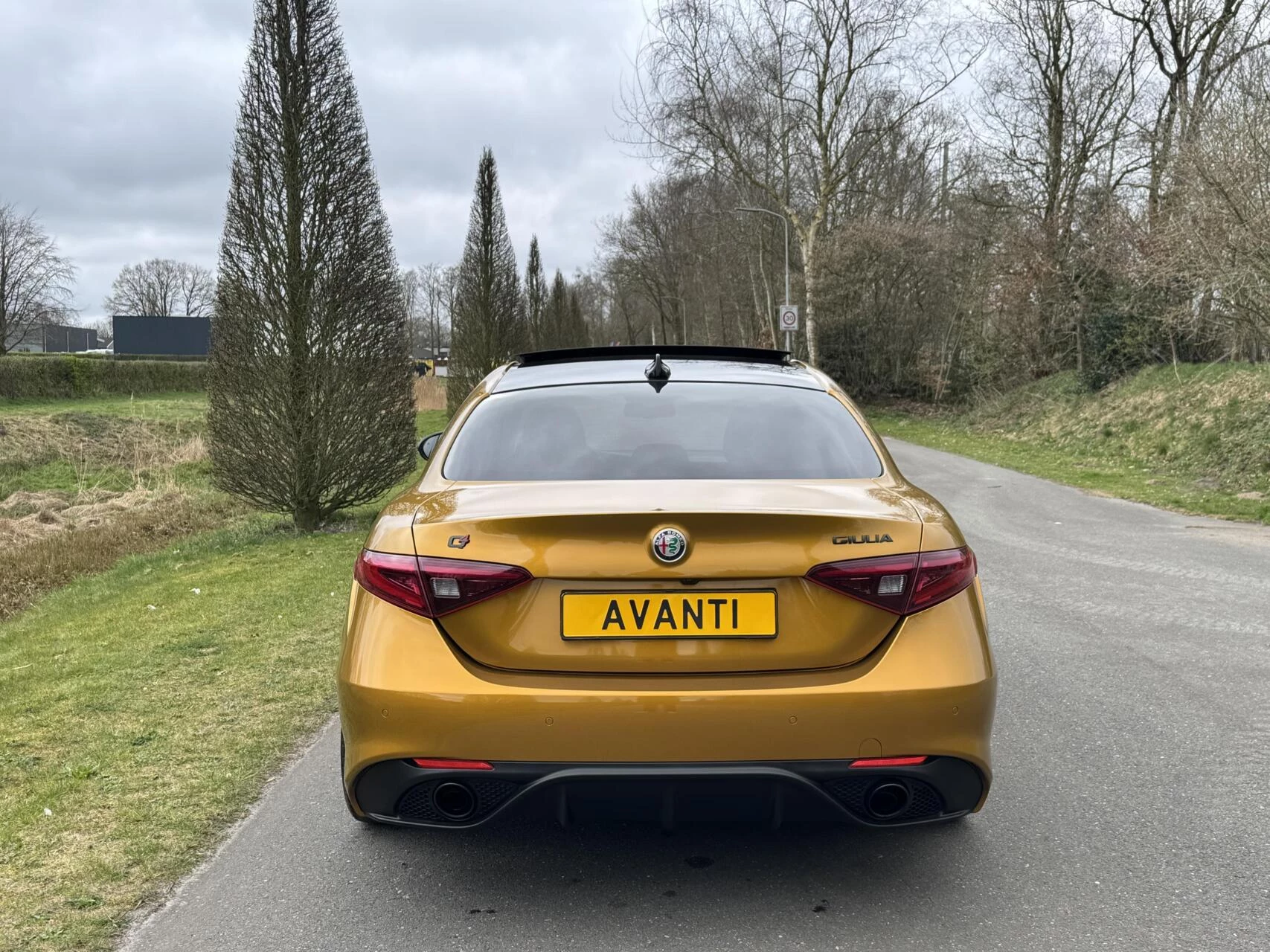 Hoofdafbeelding Alfa Romeo Giulia