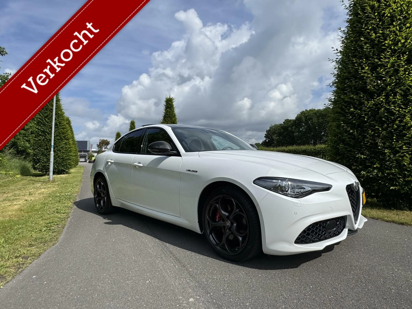 Hoofdafbeelding Alfa Romeo Giulia