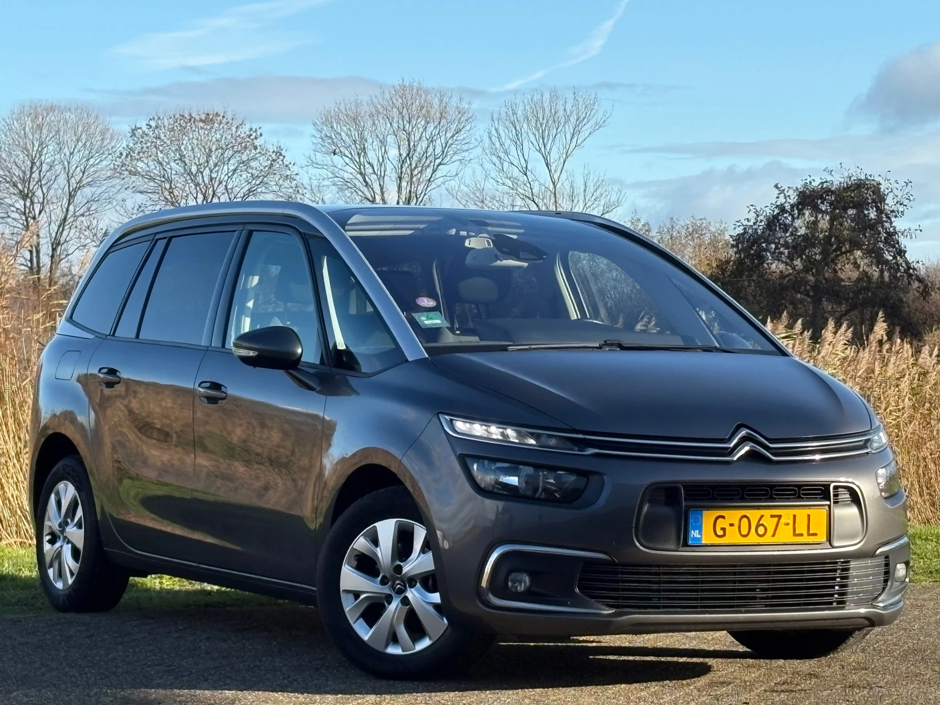Hoofdafbeelding Citroën Grand C4 Spacetourer