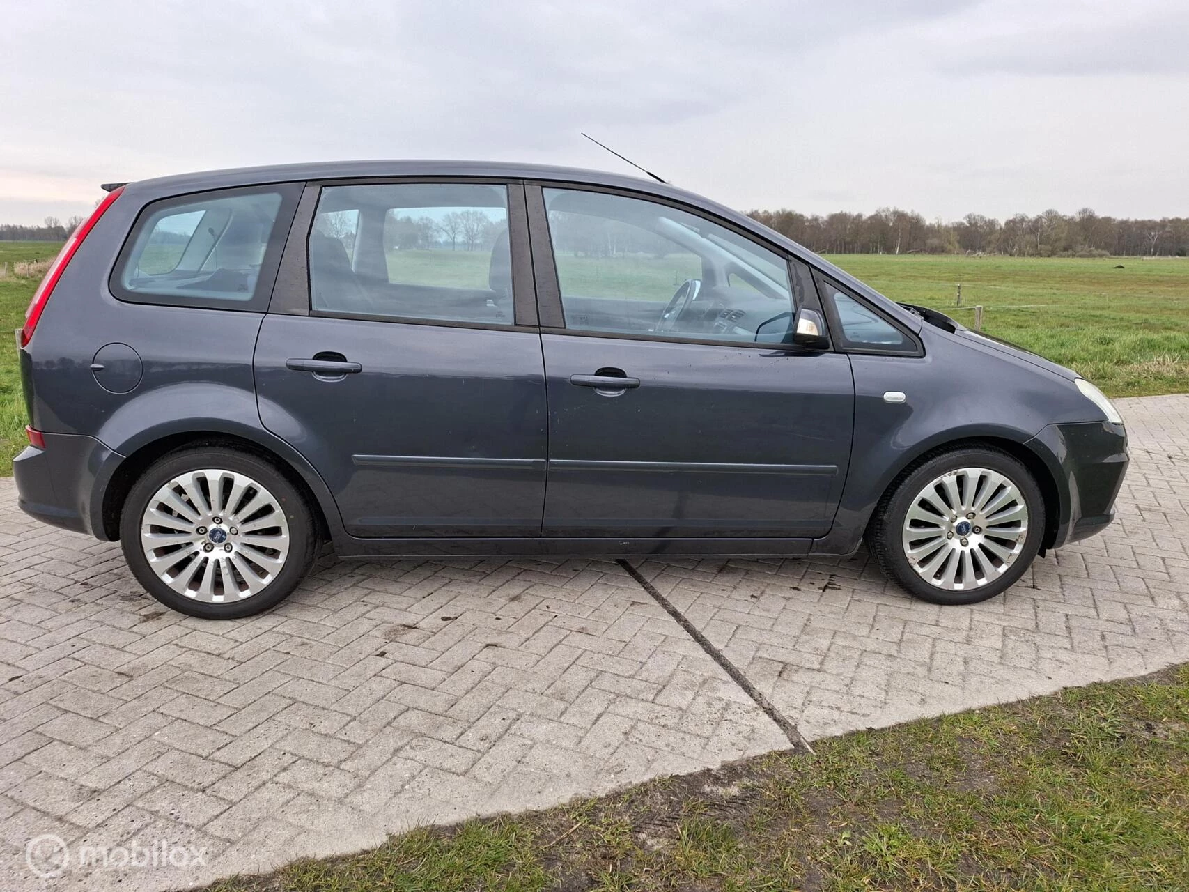 Hoofdafbeelding Ford C-MAX