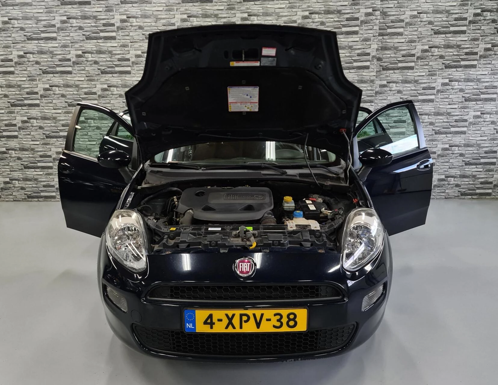 Hoofdafbeelding Fiat Punto