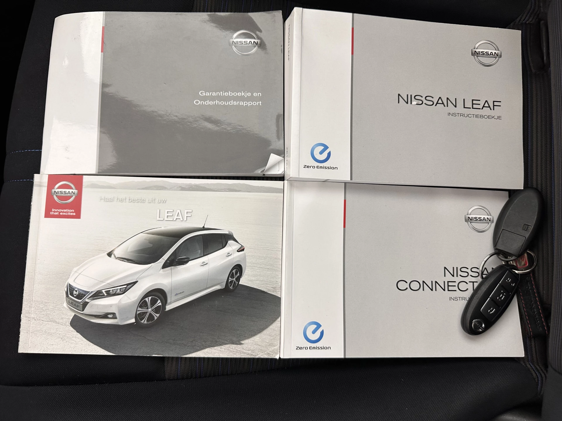 Hoofdafbeelding Nissan Leaf
