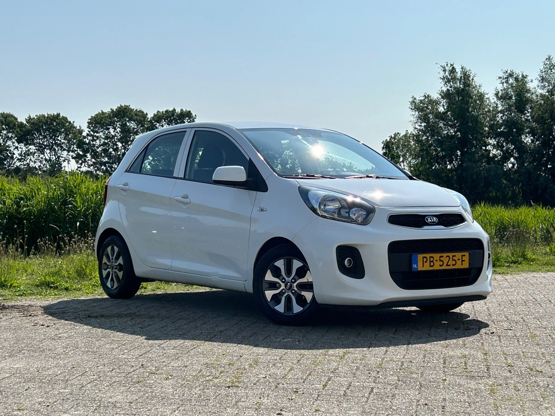 Hoofdafbeelding Kia Picanto