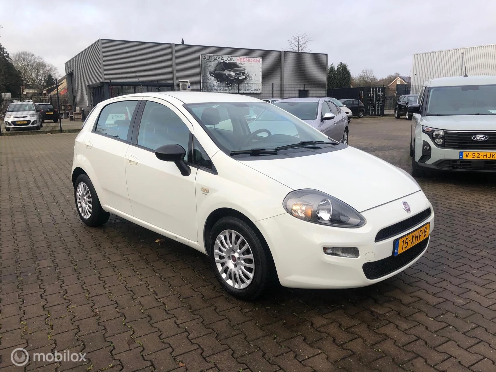 Hoofdafbeelding Fiat Punto