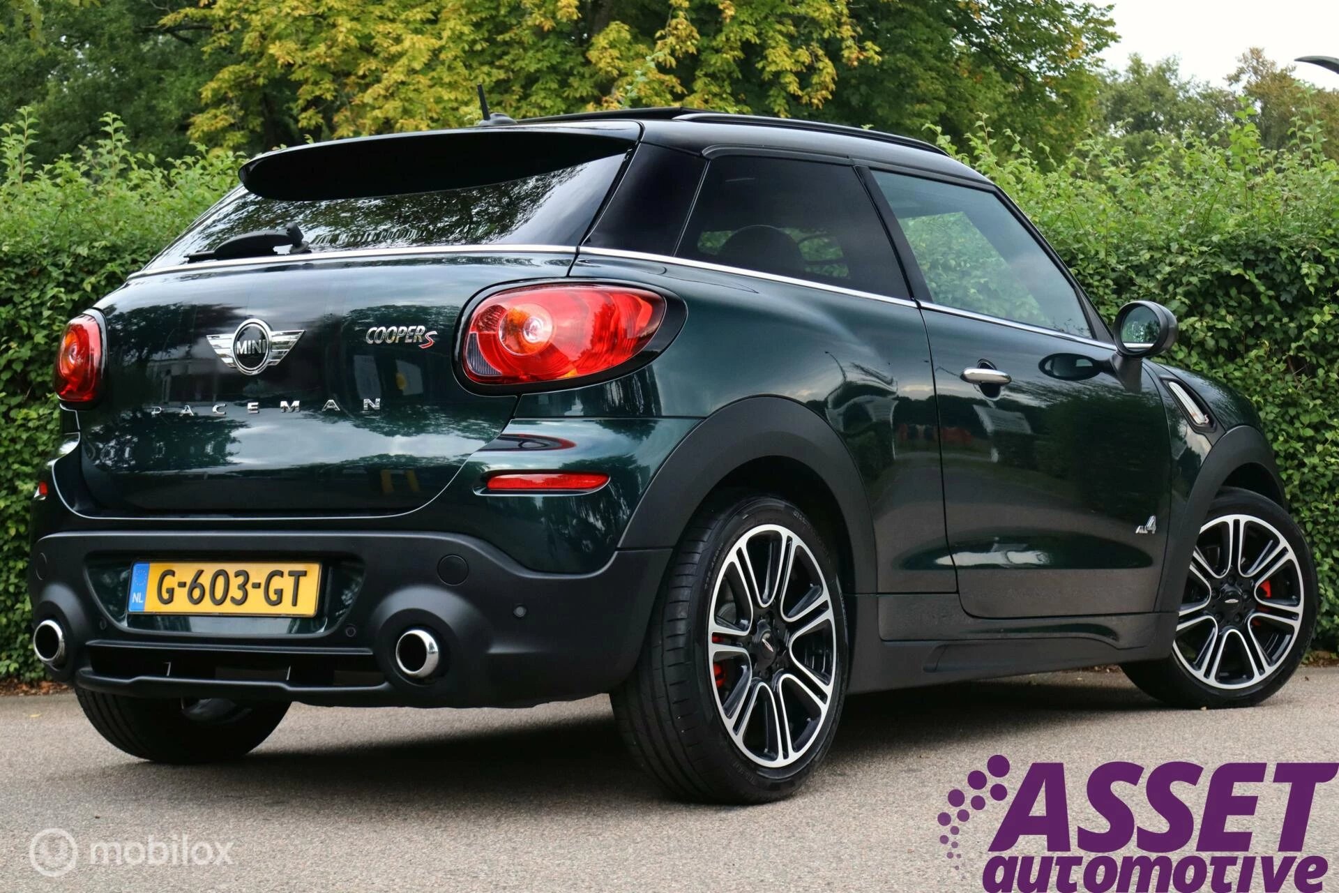 Hoofdafbeelding MINI Paceman