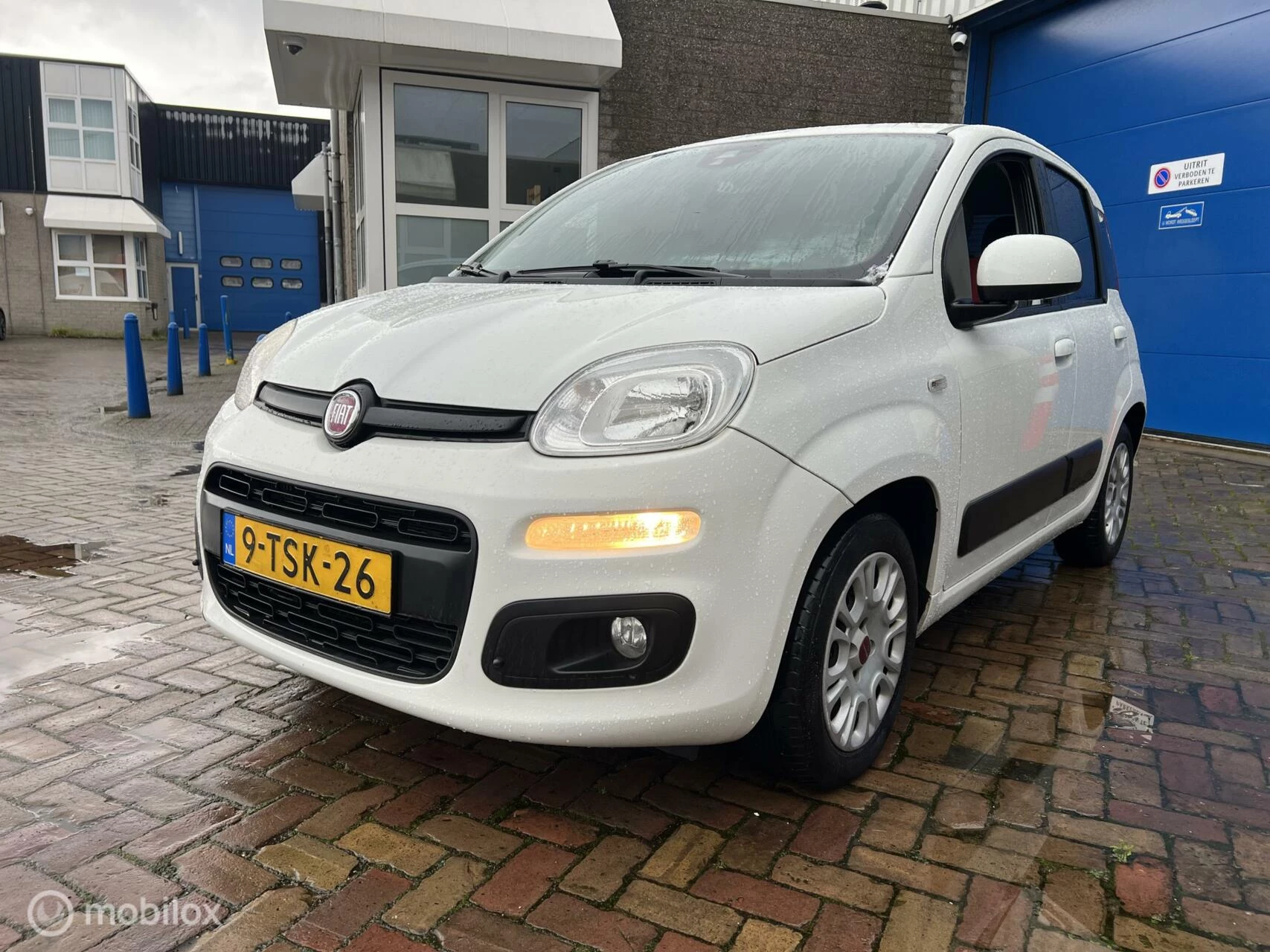 Hoofdafbeelding Fiat Panda