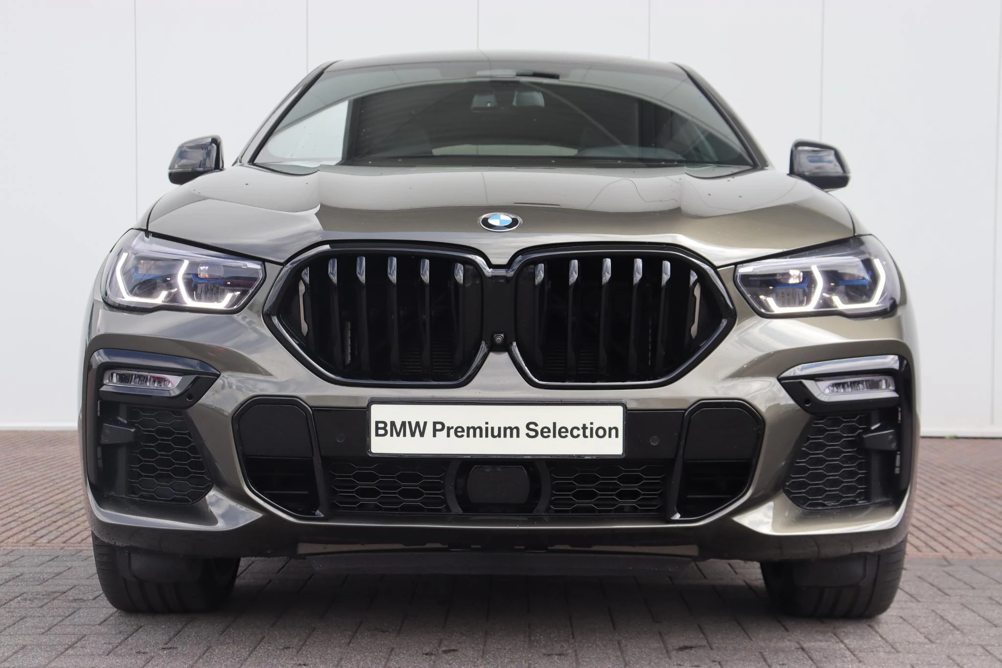 Hoofdafbeelding BMW X6