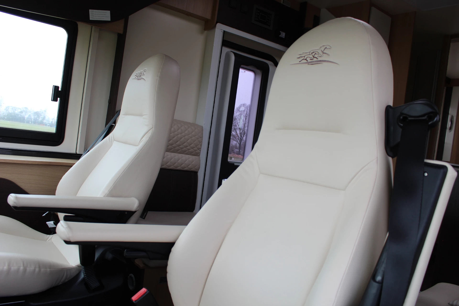 Hoofdafbeelding McLouis YEARLING