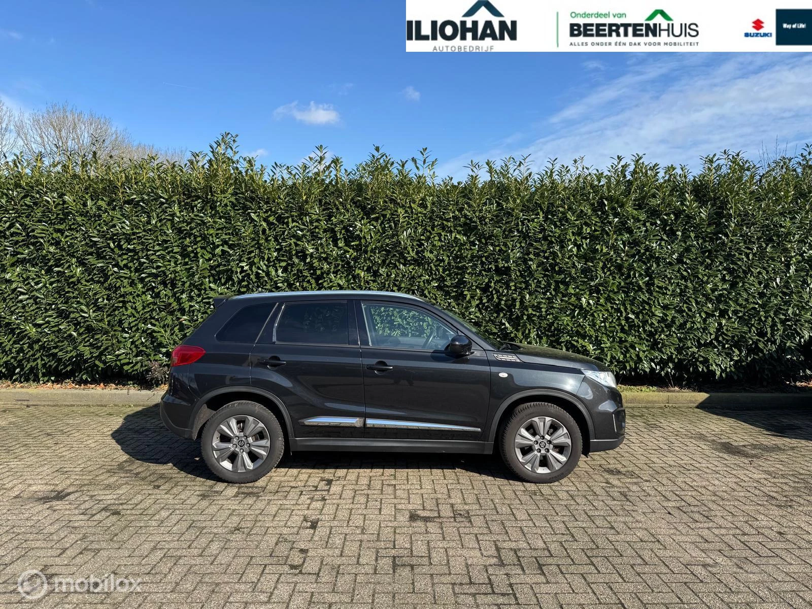 Hoofdafbeelding Suzuki Vitara